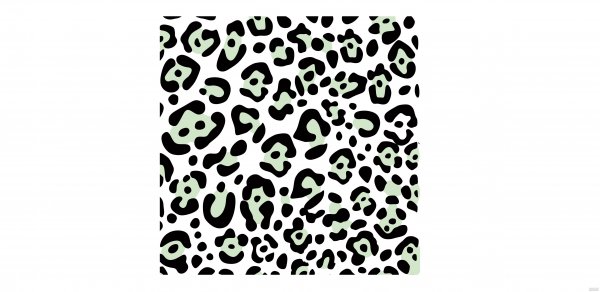  عکس پلنگی