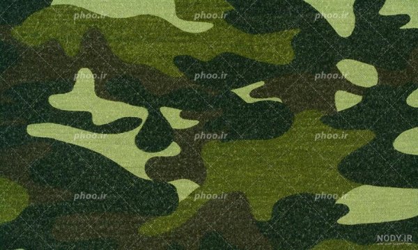 عکس پلنگی