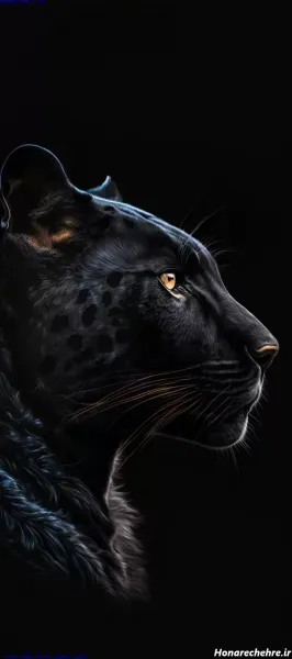 عکس پلنگ برای تصویر زمینه