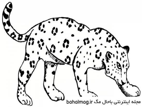  عکس پلنگ صورتی برای نقاشی