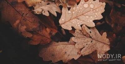  بک گراند قهوه ای روشن ساده