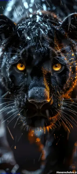  عکس پلنگ سیاه و سفید