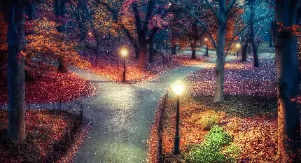  والپیپر شهر در شب