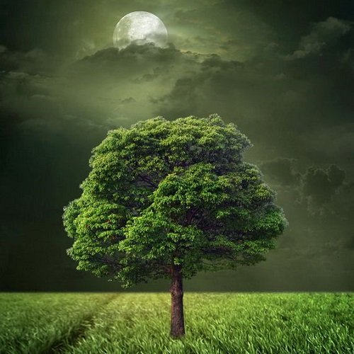  عکس ماه عاشقانه