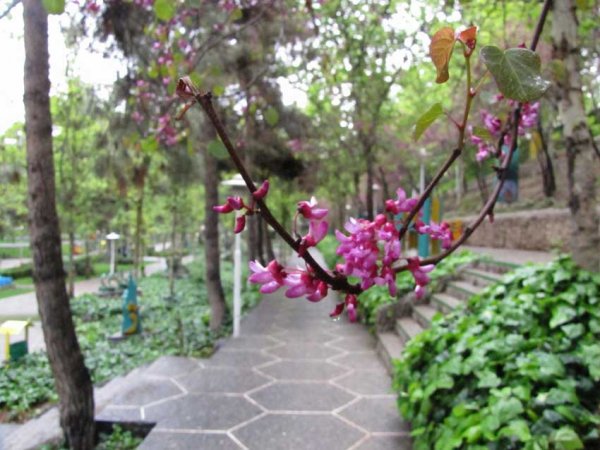  زیباترین عکس تهران