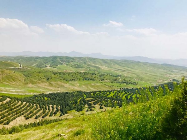  عکس از تهران برای استوری
