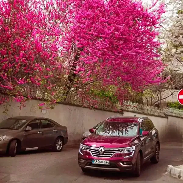  عکس از تهران زیبا