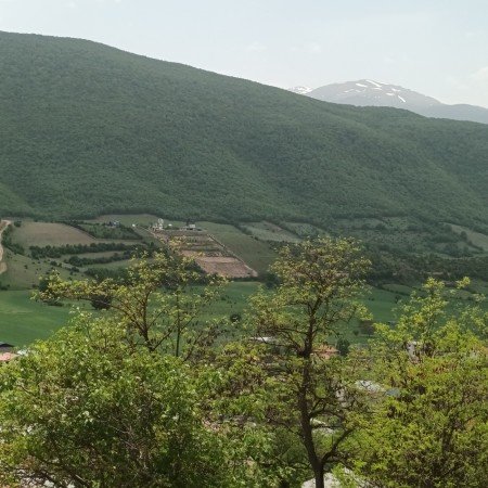  بهترین عکس بهار