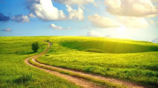 بهترین عکس تابستان