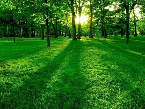  بهترین عکس تابستان