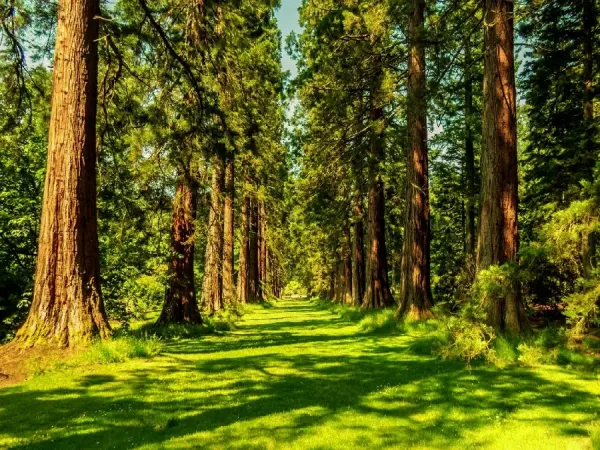  بهترین عکس تابستان