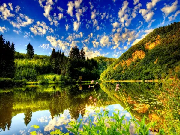  بهترین عکس تابستان