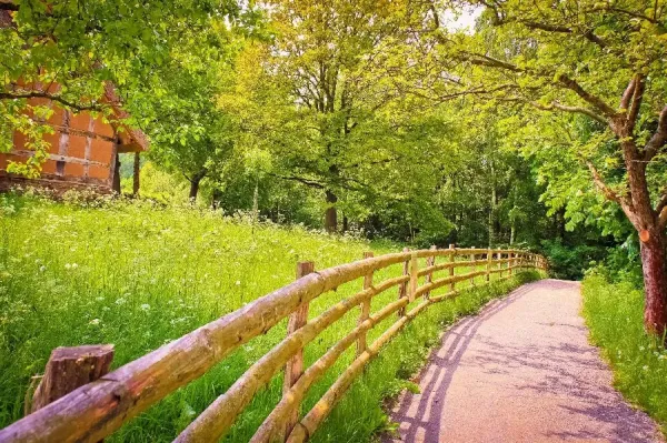  بهترین عکس تابستان