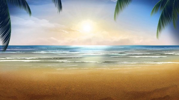  254 بهترین عکس تابستان