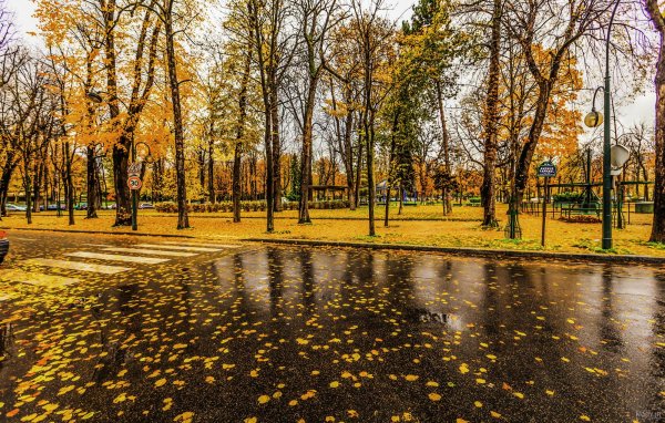  عکس باران پاییز