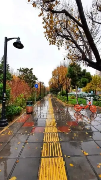  عکس باران پاییزی برای پروفایل