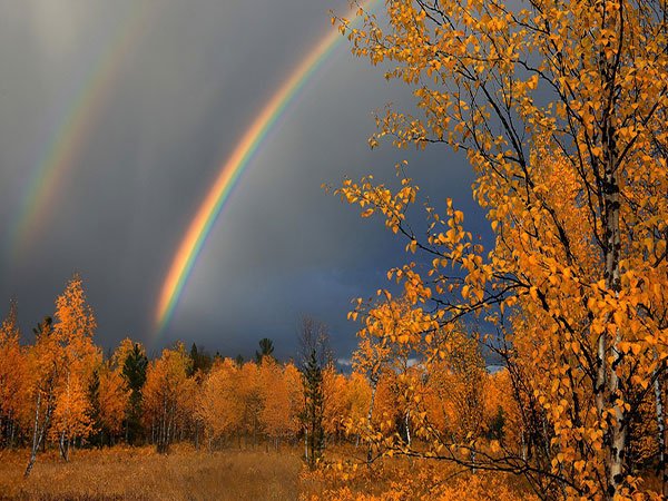  عکس طبیعت بکر برای پروفایل