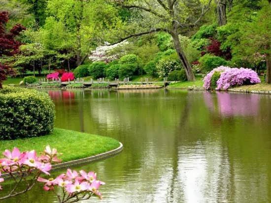  عکس پروفایل طبیعت بکر
