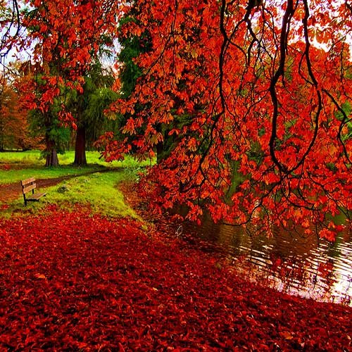 عکس طبیعت زیبا