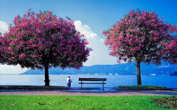  عکس طبیعت بهاری واقعی