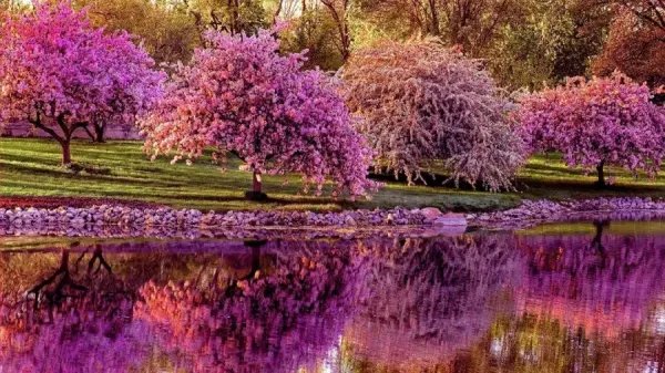  عکس طبیعت بهاری واقعی