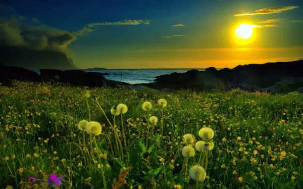  عکس طبیعت بهاری با کیفیت بالا