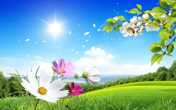  عکس طبیعت بهاری با کیفیت بالا