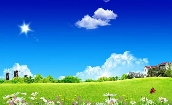  عکس شکوفه بهاری برای پروفایل
