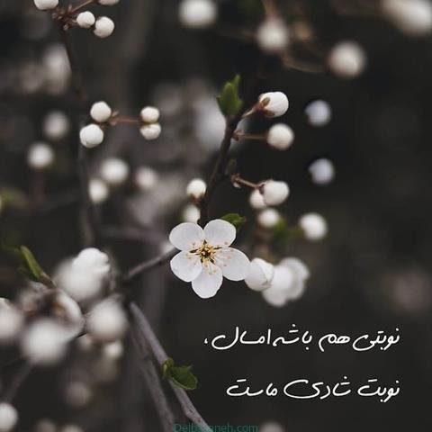 پروفایل بهاری خدایی