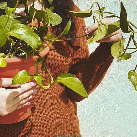 پروفایل بهاری خدایی