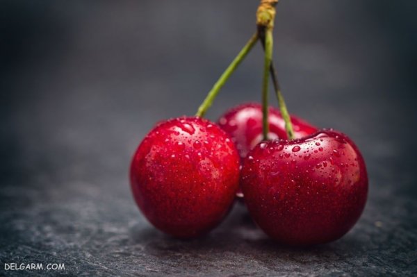  عکس گیلاس برای پروفایل