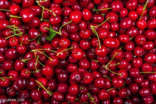  عکس گیلاس برای پروفایل