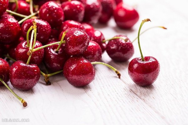  عکس گیلاس واقعی