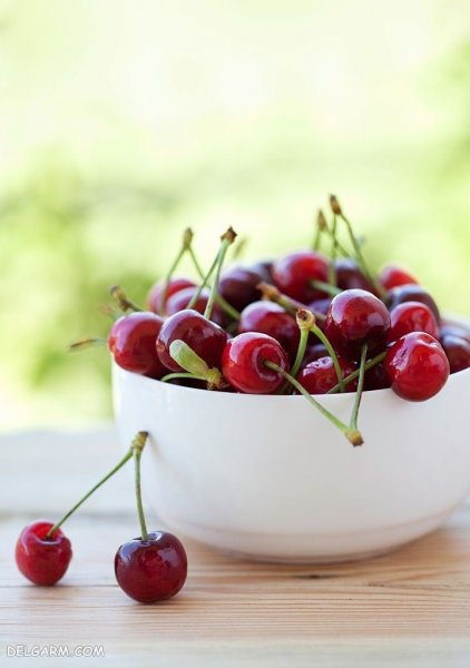  عکس گیلاس واقعی