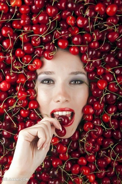  عکس گیلاس واقعی