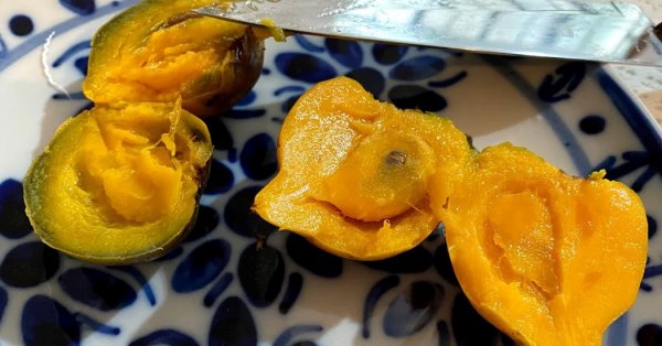  عکس تمام میوه های جهان