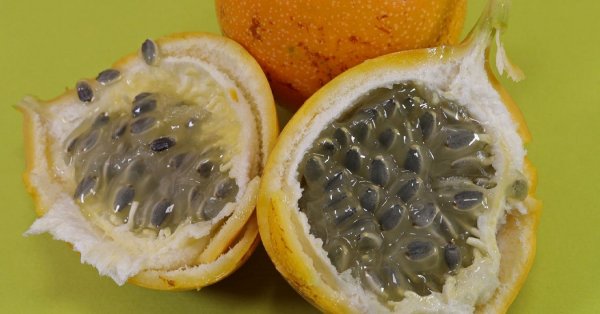  عکس میوه های عجیب و غریب