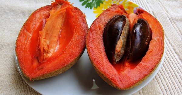  عکس میوه های عجیب و غریب