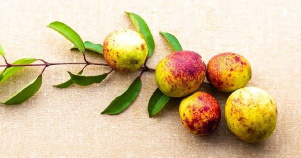  عکس میوه های زیبا
