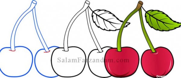  عکس آلبالو نقاشی