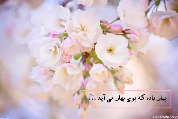  عکس طبیعت بکر بهاری