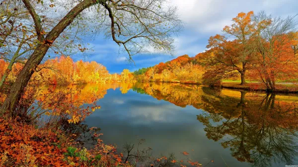  عکسهای طبیعت