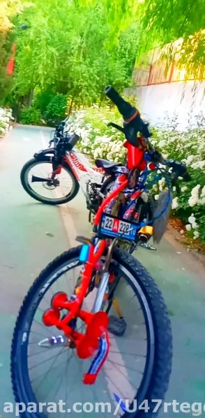 عکس اسپرت دوچرخه