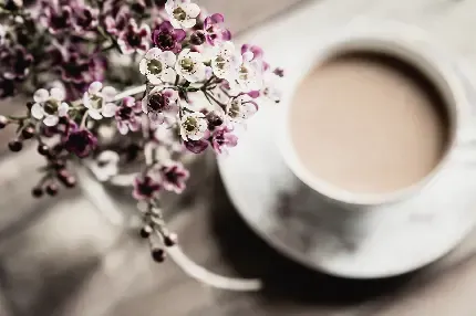عکس قهوه