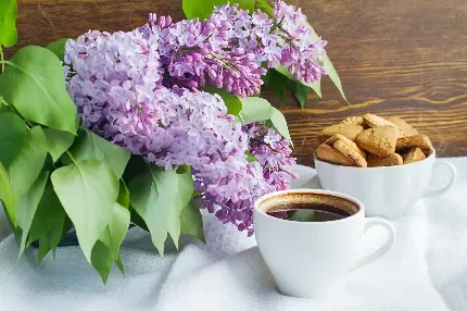 عکس قهوه