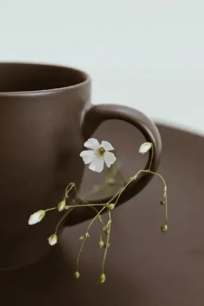 عکس قهوه