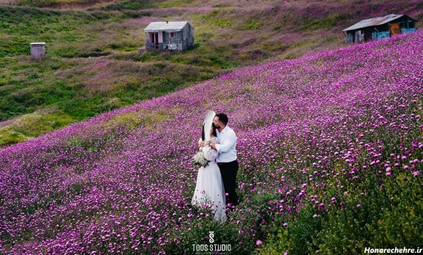 عکس عروس و داماد لاکچری