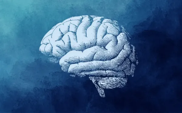  عکس مغز