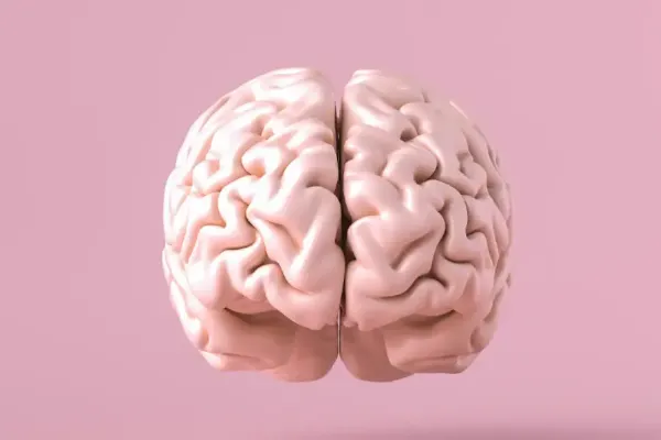  عکس مغز