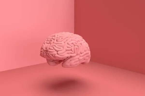  عکس مغز